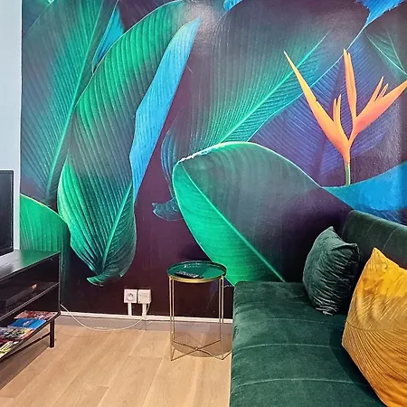 L'oiseau Du Paradis - Terrasse Privee, Parking, Wifi Rapide, Arrivee Autonome, Entre Gare Et Centre-ville, Rez-de-chaussee *