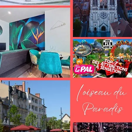 L'oiseau Du Paradis, Entre Gare Et Centre Ville, Rez-de-chaussee, Avec Terrasse Et Parking Prive Apartament Moulins (Allier)