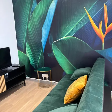 L'oiseau Du Paradis - Terrasse Privee, Parking, Wifi Rapide, Arrivee Autonome, Entre Gare Et Centre-ville, Rez-de-chaussee Moulins (Allier)