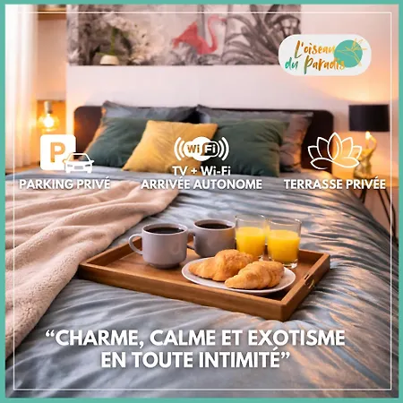 L'oiseau Du Paradis - Terrasse Privee, Parking, Wifi Rapide, Arrivee Autonome, Entre Gare Et Centre-ville, Rez-de-chaussee *