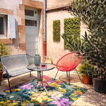 Oiseau Du Paradis Avec Terrasse Parking Prive Proche Centre