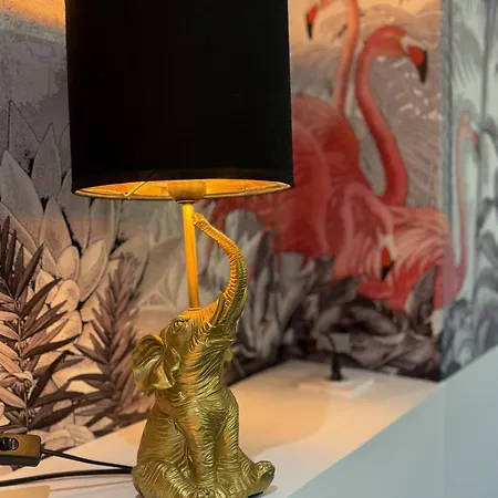 L'oiseau Du Paradis - Terrasse Privee, Parking, Wifi Rapide, Arrivee Autonome, Entre Gare Et Centre-ville, Rez-de-chaussee * 穆兰