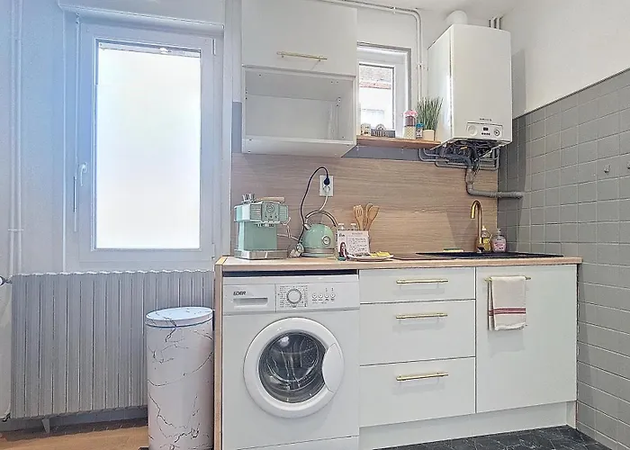 公寓 L'oiseau Du Paradis - Terrasse Privee, Parking, Wifi Rapide, Arrivee Autonome, Entre Gare Et Centre-ville, Rez-de-chaussee *