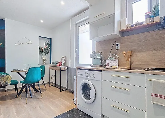 L'oiseau Du Paradis - Terrasse Privee, Parking, Wifi Rapide, Arrivee Autonome, Entre Gare Et Centre-ville, Rez-de-chaussee *