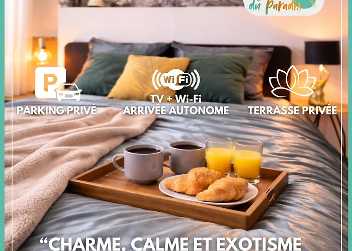 L'oiseau Du Paradis - Terrasse Privee, Parking, Wifi Rapide, Arrivee Autonome, Entre Gare Et Centre-ville, Rez-de-chaussee *