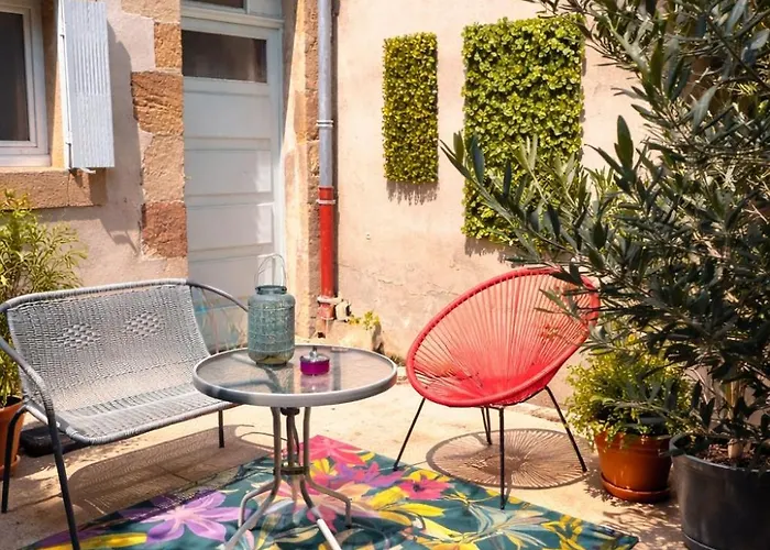 L'oiseau Du Paradis - Terrasse Privee, Parking, Wifi Rapide, Arrivee Autonome, Entre Gare Et Centre-ville, Rez-de-chaussee