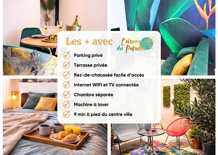 L'oiseau Du Paradis - Terrasse Privee, Parking, Wifi Rapide, Arrivee Autonome, Entre Gare Et Centre-ville, Rez-de-chaussee 公寓 穆兰